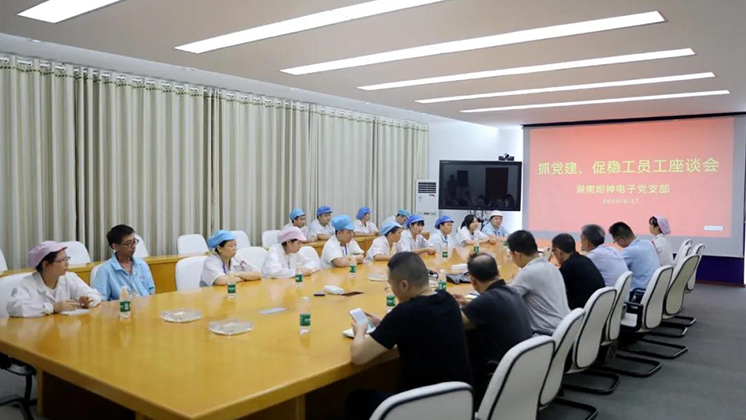 抓黨建、促穩工”——炬神電子黨支部為企業穩工獻計獻策